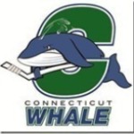 Connecticut-Whale_thumb_thumb_thumb_